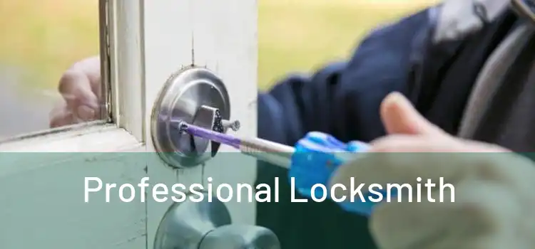 Professional Locksmith 